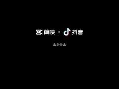 HIP Sintering Tungsten Carbide Die Cemented Carbide Stamping Dies Blanks Molds